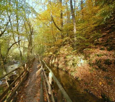 Haus Wiesengrund * 후트겐발트