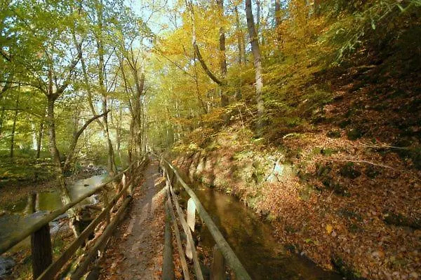 Haus Wiesengrund * Hürtgenwald